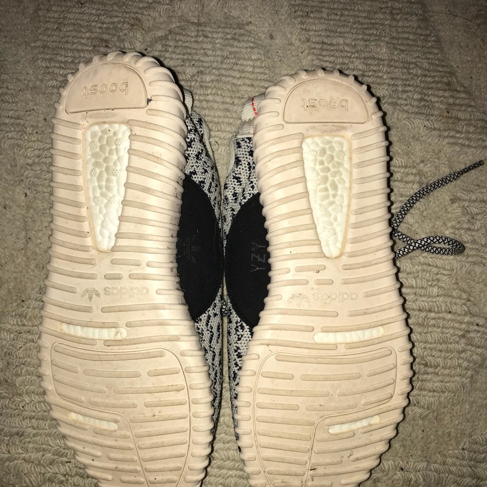 Yeezy turtle doves